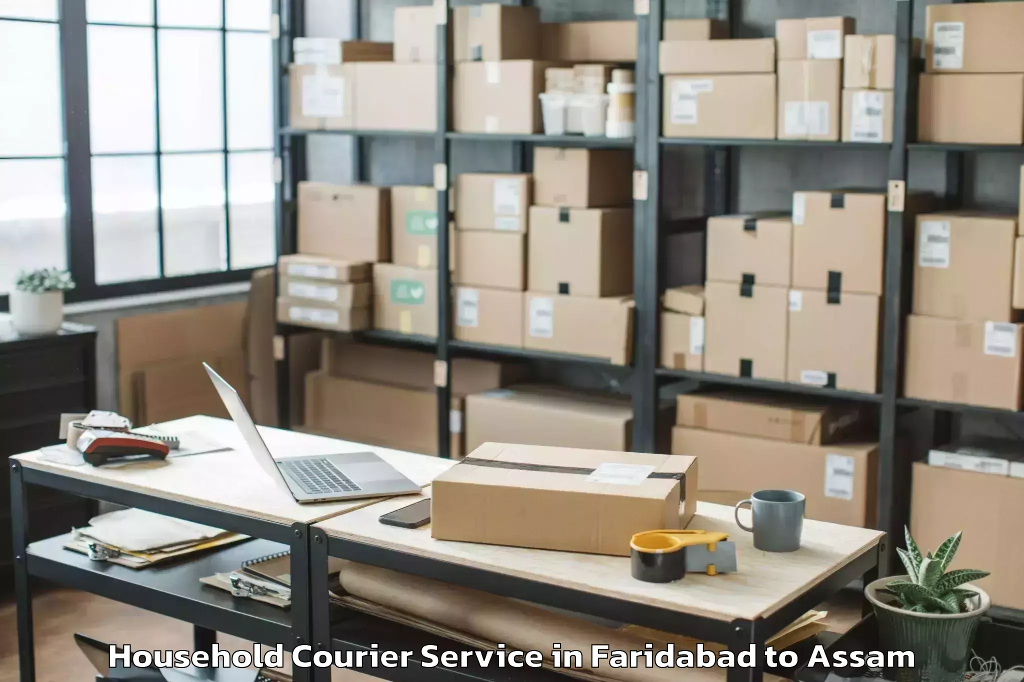 Professional Faridabad to Howraghat Household Courier